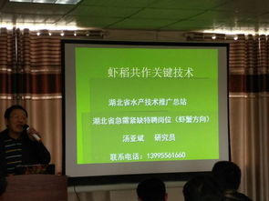 湖北黃石 水產(chǎn)技術(shù)推廣站舉辦培訓(xùn)班，助力養(yǎng)殖產(chǎn)業(yè)提質(zhì)增效